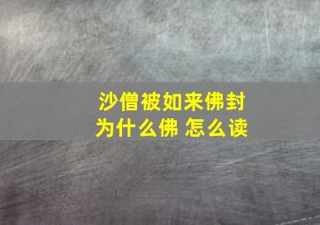 沙僧被如来佛封为什么佛 怎么读